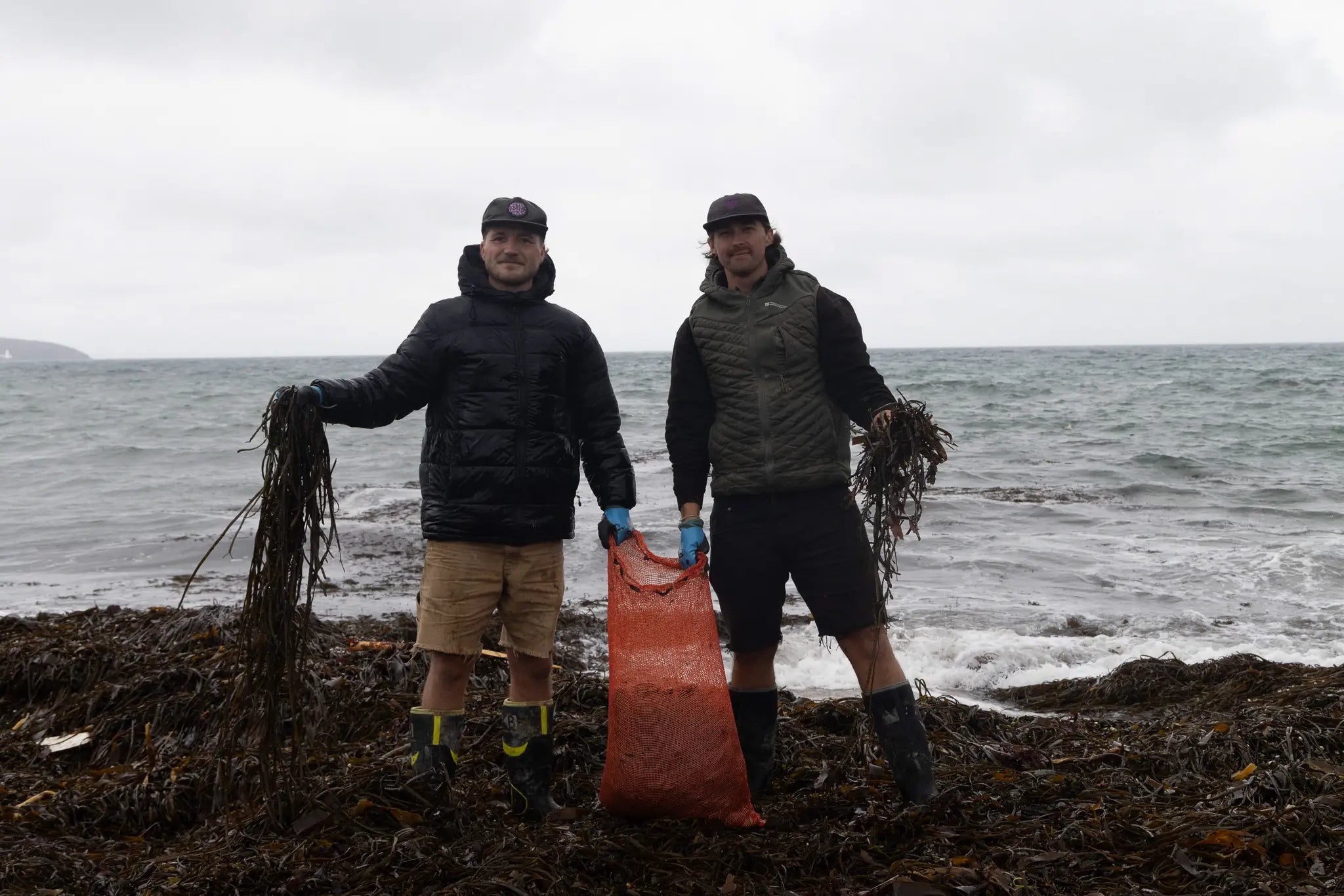 AquaCulture Cornish Seaweed: Seaweed Fertiliser for a Healthier Planet - AquaCulture