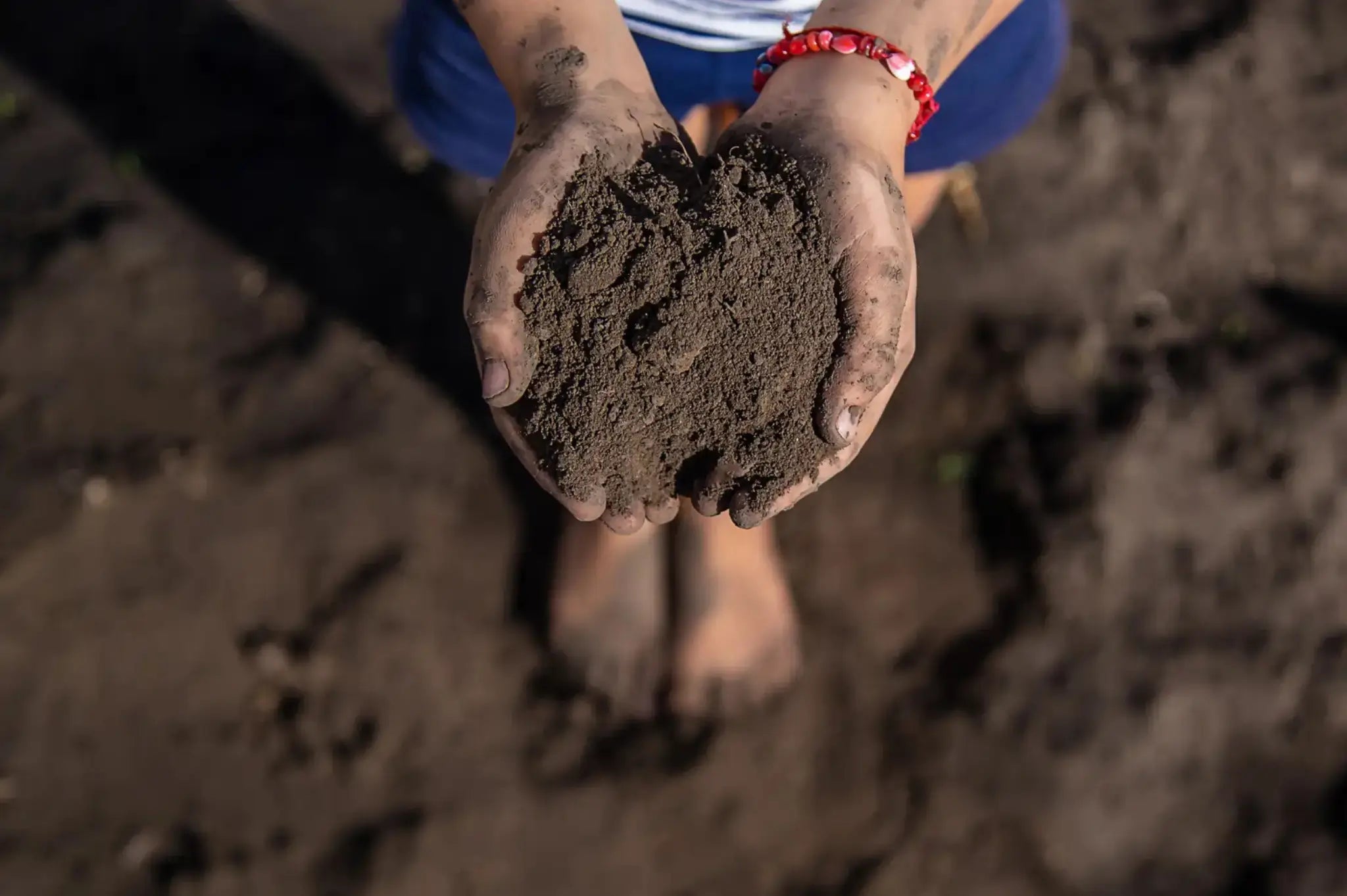 How Seaweed Fertiliser Supports Soil Health (And Why That Matters) - AquaCulture