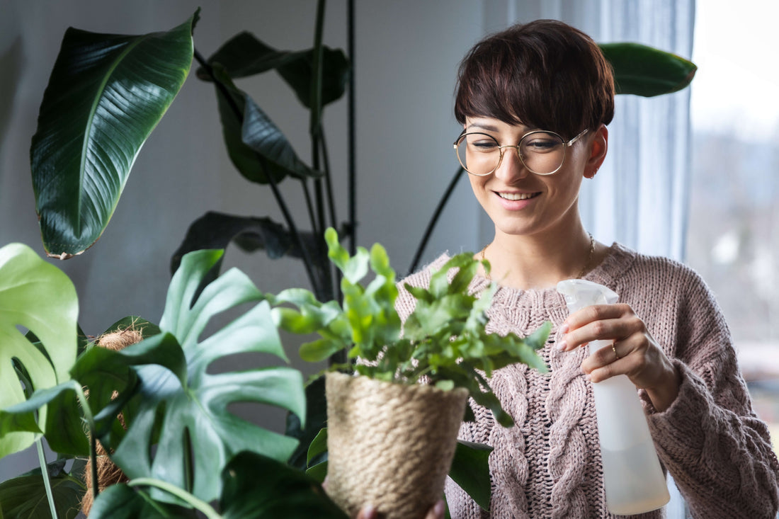 The Best Organic Fertiliser for UK Houseplants and Gardens: Why Seaweed Is the Secret Ingredient - AquaCulture