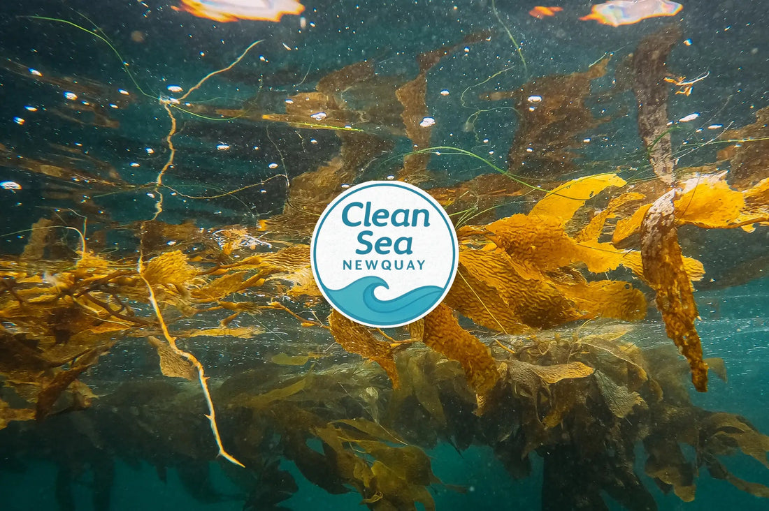 Clean Sea Newquay Beach Party  Saturday 26th July 2025 - AquaCulture