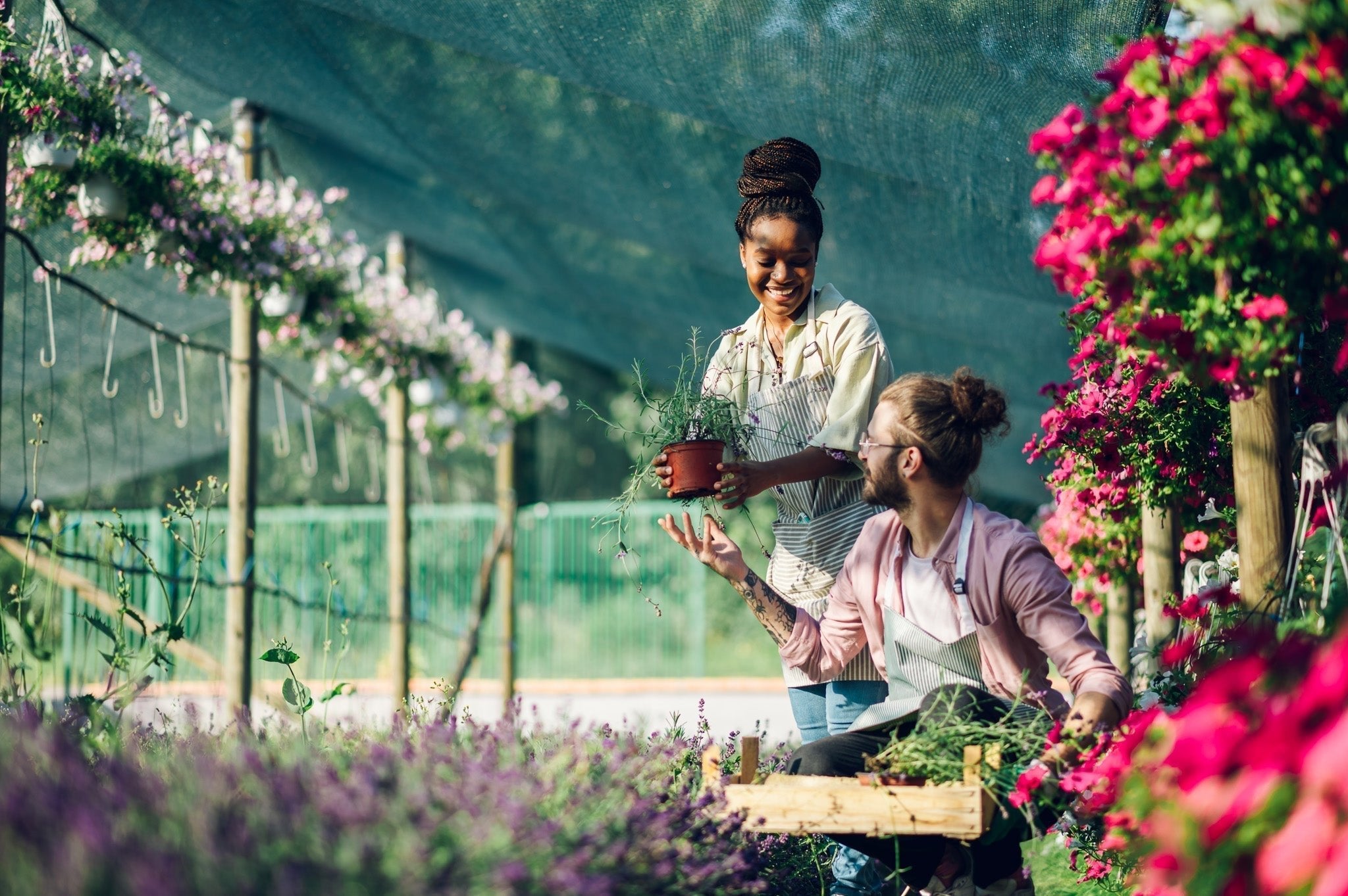 How to Use Seaweed Fertiliser: A Seasonal Guide for Plants, Lawns, and Gardens - AquaCulture