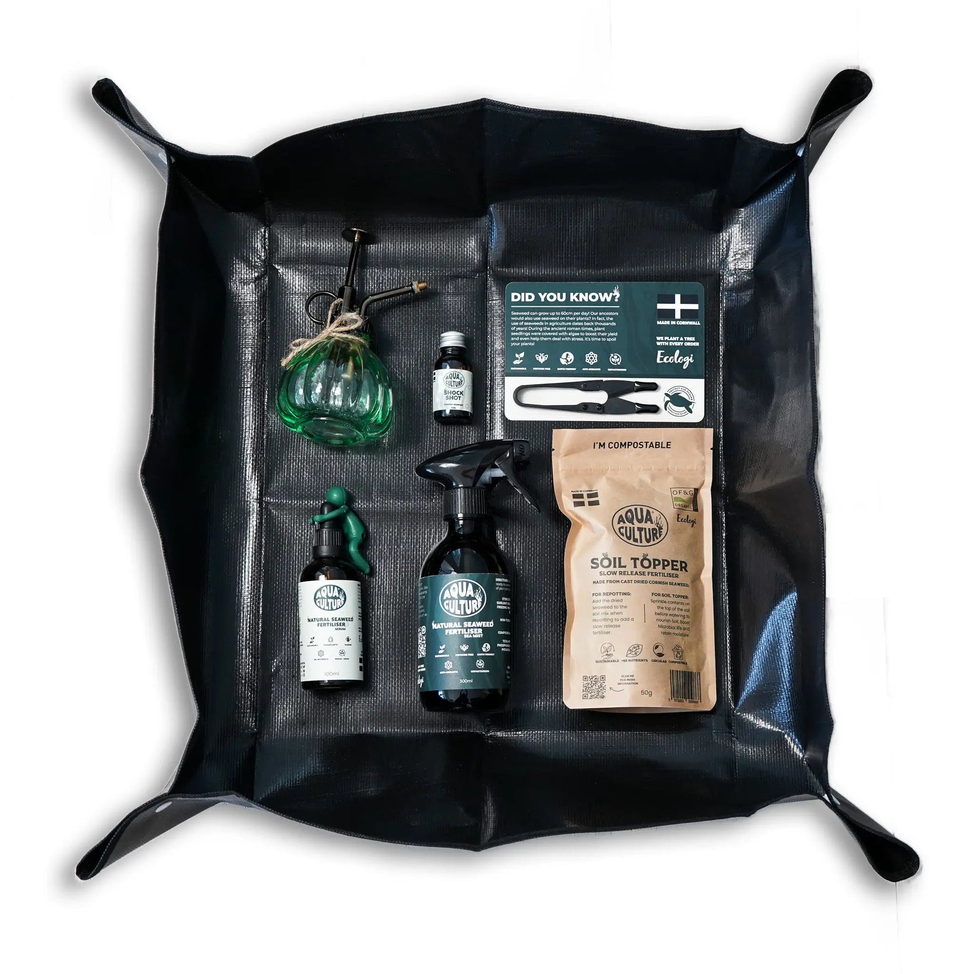 The Gift Box | AquaCulture