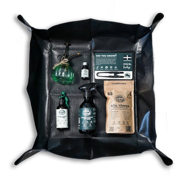 The Gift Box | AquaCulture