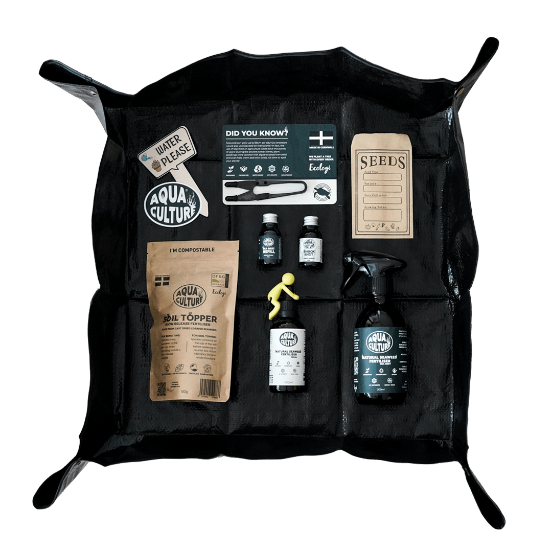 The Gift Box | AquaCulture